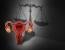 Oral Arguments Regarding Emergency Abortions Heard by SCOTUS