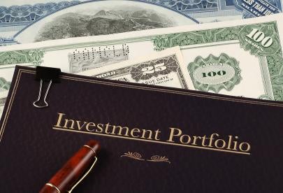 Portfolio investment company concerns and risks for 2024