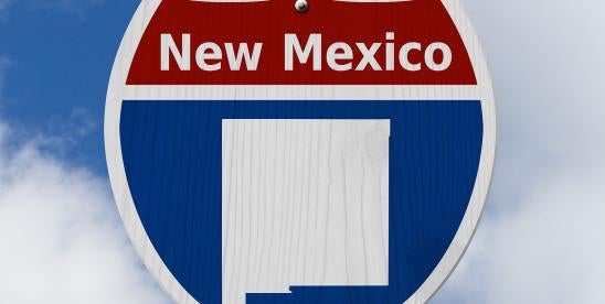 New Mexico on AI in Political Ads 