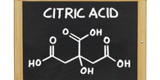 Court rulings on citric, malic acid as preservative or flavoring