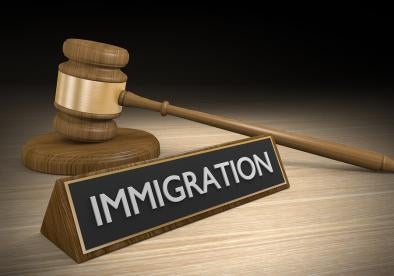 gavel and immigration block, donald trump, entry ban