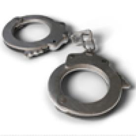 Handcuffs, Internet Infamy: Criminal Registries and White Collar Crime