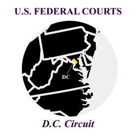 DC Circuit FINRA Case 