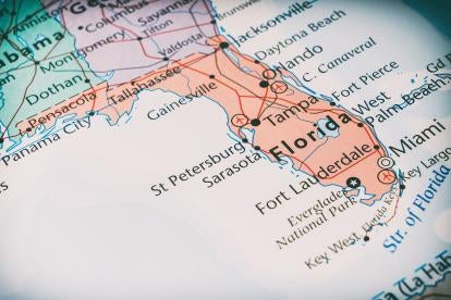 Florida Telephone Solicitation Act Litigation May Be Narrowed