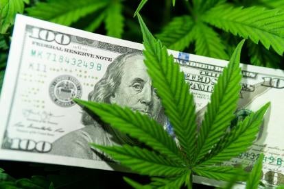 money with marijuana