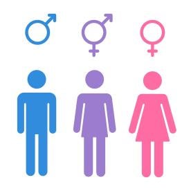 transgender, male, female