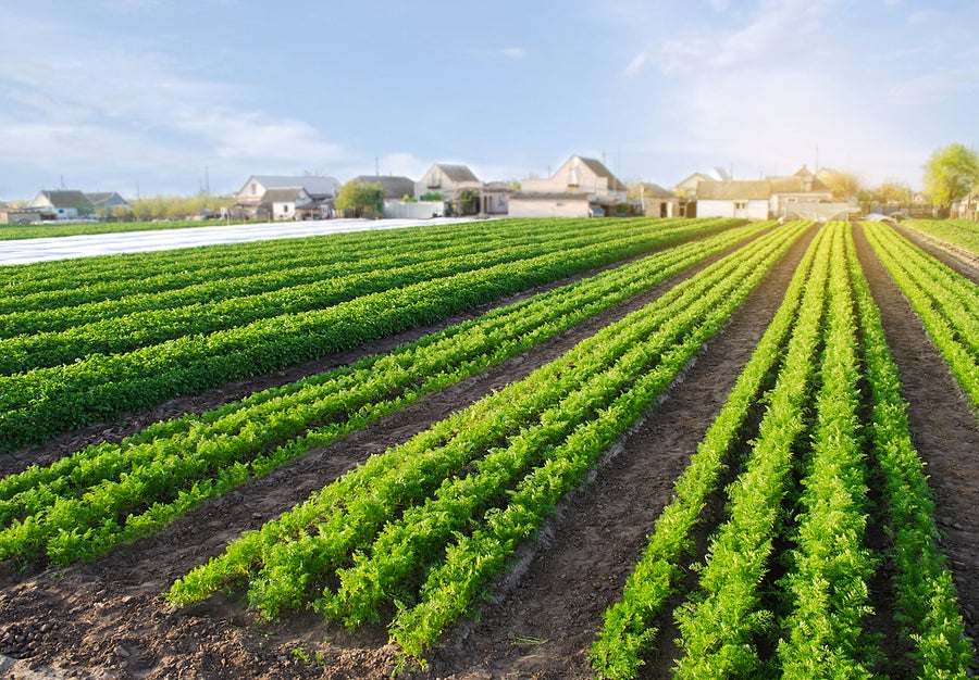 USDA Workshop Develops PFAS Research Roadmap for Agriculture