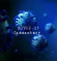 COVID-19 Coronavirus CARES act analysis 