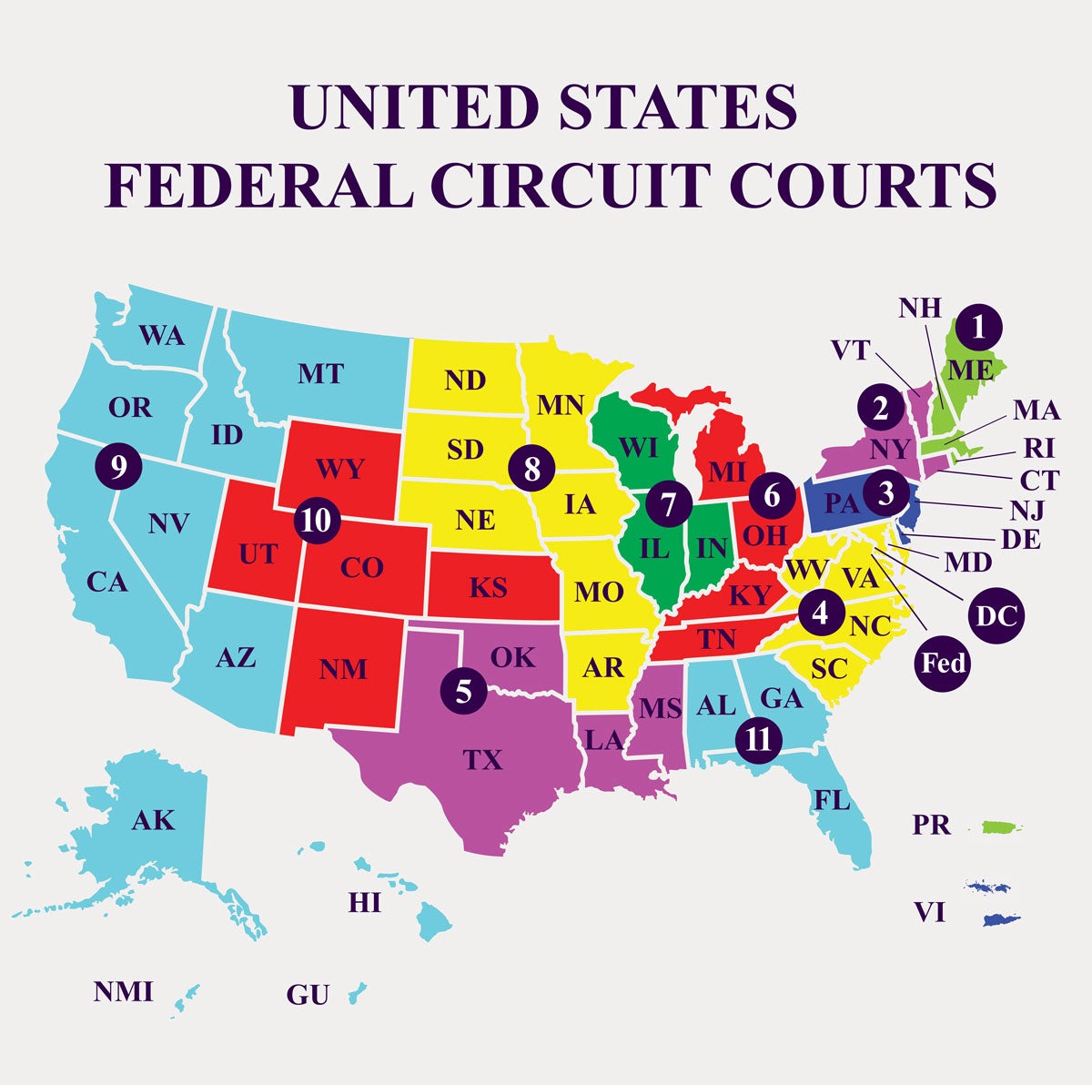 federal circuit courts of america