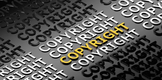 Public Has Right to Copyrighted Material