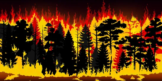Hawaii Fire IRS Donation PTO Tax Treatment