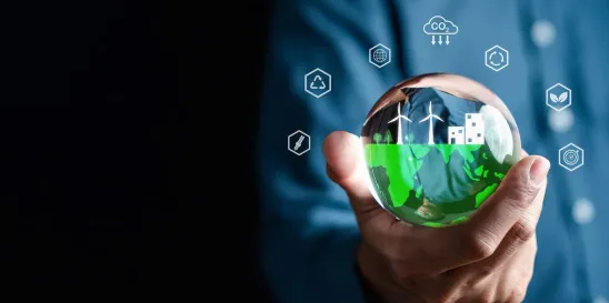 International Standard on Sustainability Assurance 