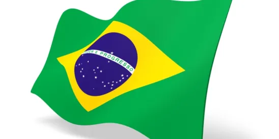 US Brazil business litigations