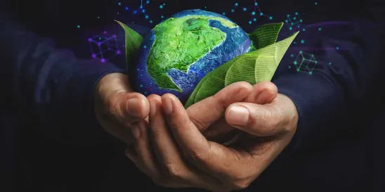 TNFD nature risk management disclosure framework
