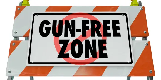 White House Office of Gun Violence Prevention Established