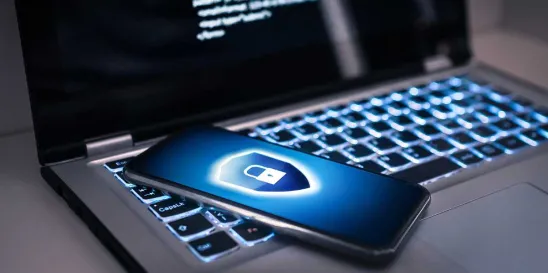 SEC Public Companies Cybersecurity Disclosures