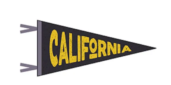 California Corporation Voting Requirements 