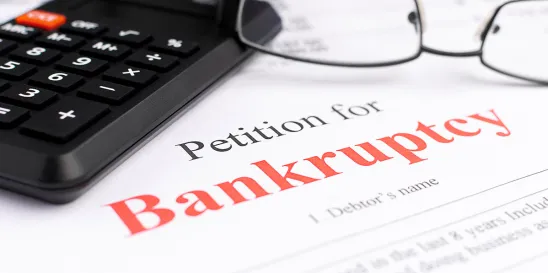 Bankruptcy Chapter 11 Chapter 7 business bankruptcy