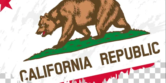 Founding Team Members in CA Corporations 