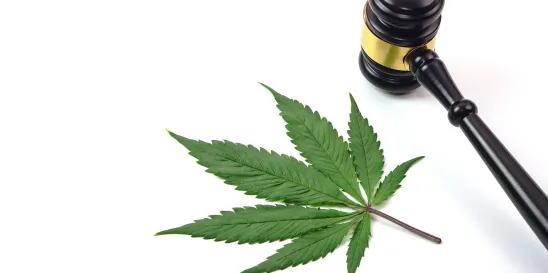 cannabis marijuana litigation United Cannabis Pure Hemp