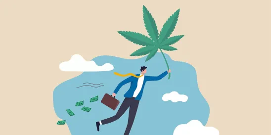 marijuana work state laws drug testing marijuana workplace