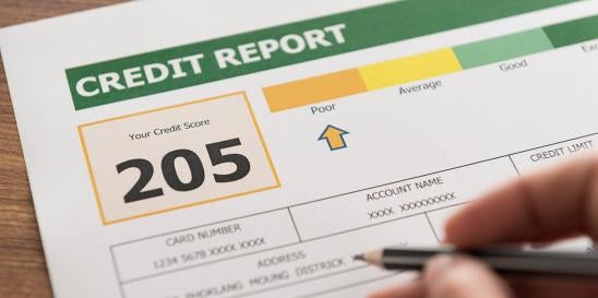 Weekly Free Credit Reports