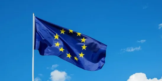 European Chemicals Agency PFAS REACH chemicals