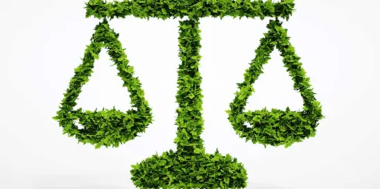 Department of Justice Environmental Justice strategy