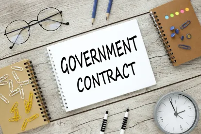 EEO 1 filing government contractors