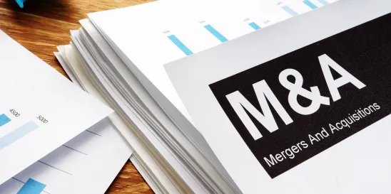 M&A Transactions Self Reporting and Cooperation Incentives