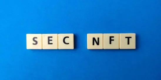 Securities and Exchange Commission SEC Stoner Cats NFT 