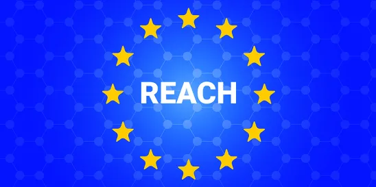 ECHA REACH PFAS regulation EU environmental chemicals