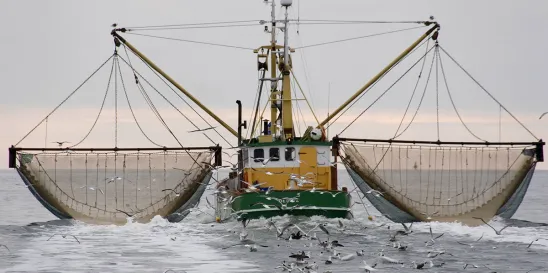 Frozen Warmwater Shrimp AD CVD Petitions 
