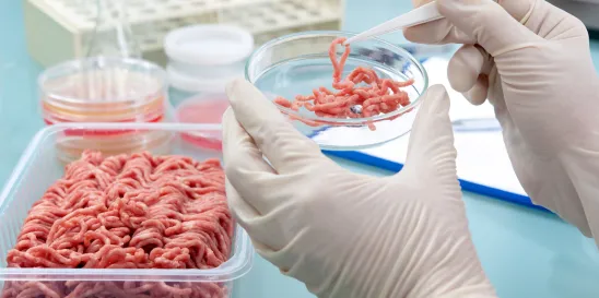 cell cultivated meat USDA European Food Safety Authority 
