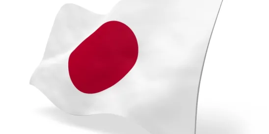 Japan Special Business Zones Asset Managers