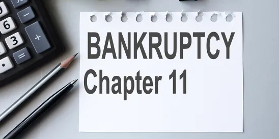 Chapter 11 Chapter 7 bankruptcy updates November 1 2023 