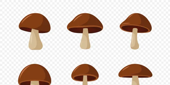 Psilocybin DEA Schedule I Schedule II