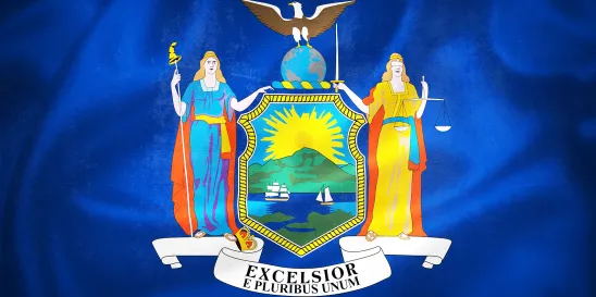 New York CIIAA Law