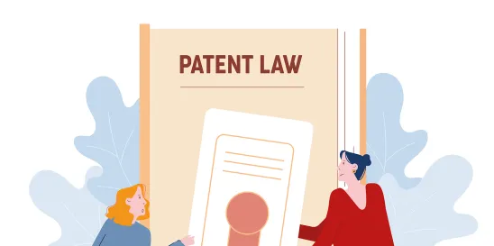 PTAB USPTO Revised Interim Director Review Process