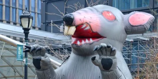 Scabby the Rat my not be welcome in Canada anymore