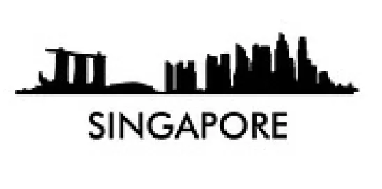 Singapore Sharing Cryptocurrency Tax Info