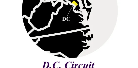 DC Circuit Ruling MDO for Tobacco-Flavored myblu ENDS