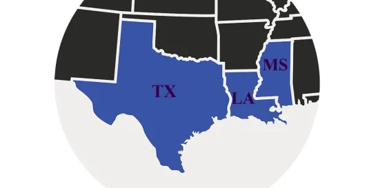 Fifth Circuit Ruling Calsep A/S v. Ashish Dabral