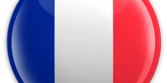 France CNIL simplified procedure Sanctions