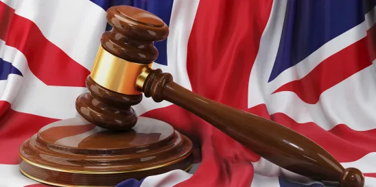 Fraud Reform and the UK Registrar