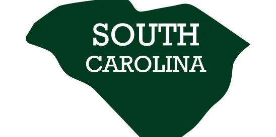 A Legal Perspective on property tax PT 300s in SC South Carolina