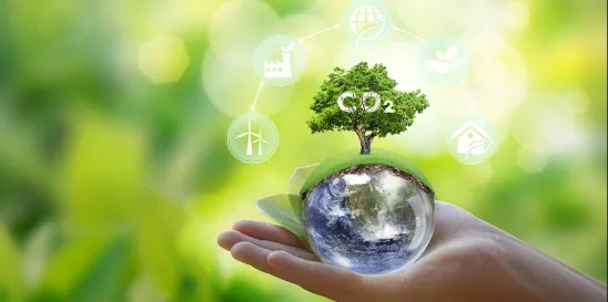 European Parliament Carbon Neutral
