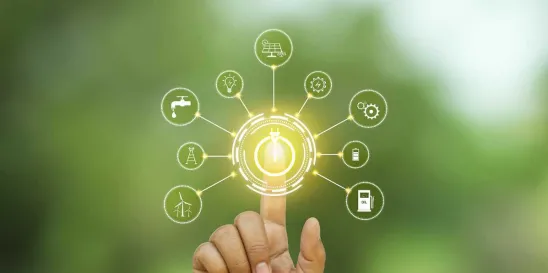 annual certification requirements for electricity market