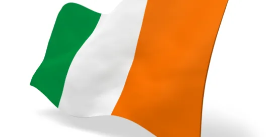 Irish Data Protection Commissioner European Data Protection