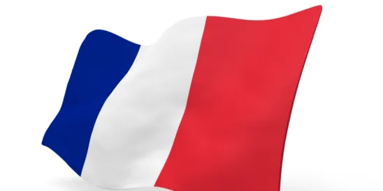 French Real Estate First Semester 2023